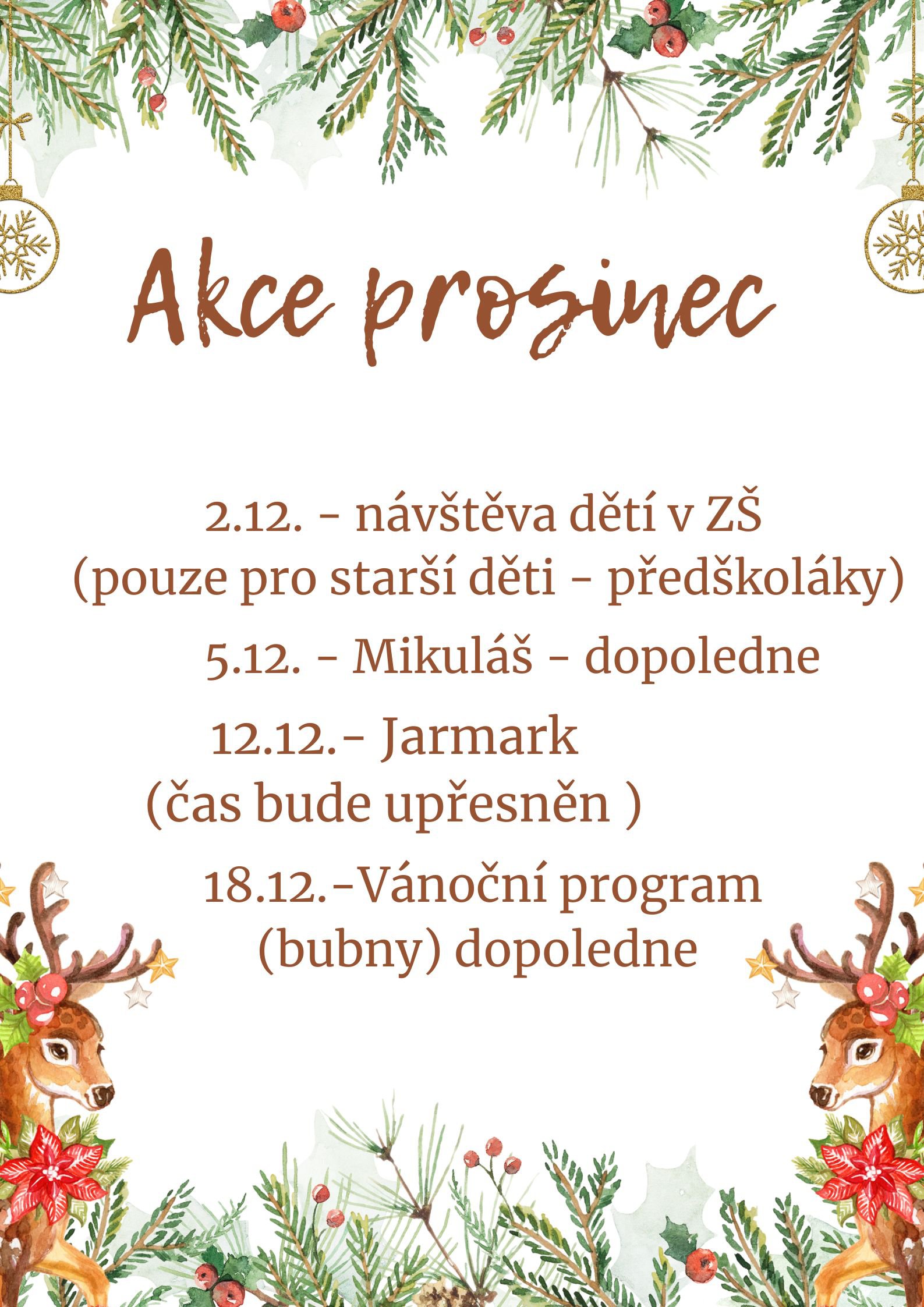 Akce prosinec_20251119_100010_0000.jpg